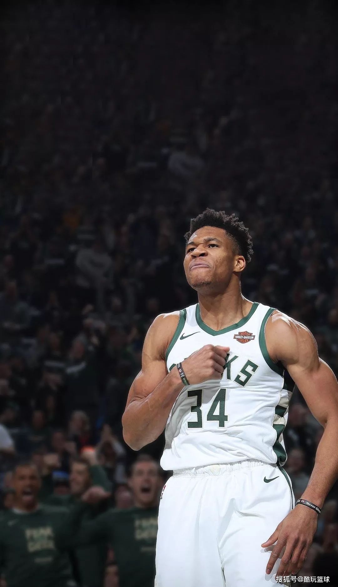 外媒：有中国俱乐部询问狮城水手前锋安德森-洛佩斯（外媒称中国俱乐部已询价狮城水手前锋安德森-洛佩斯）